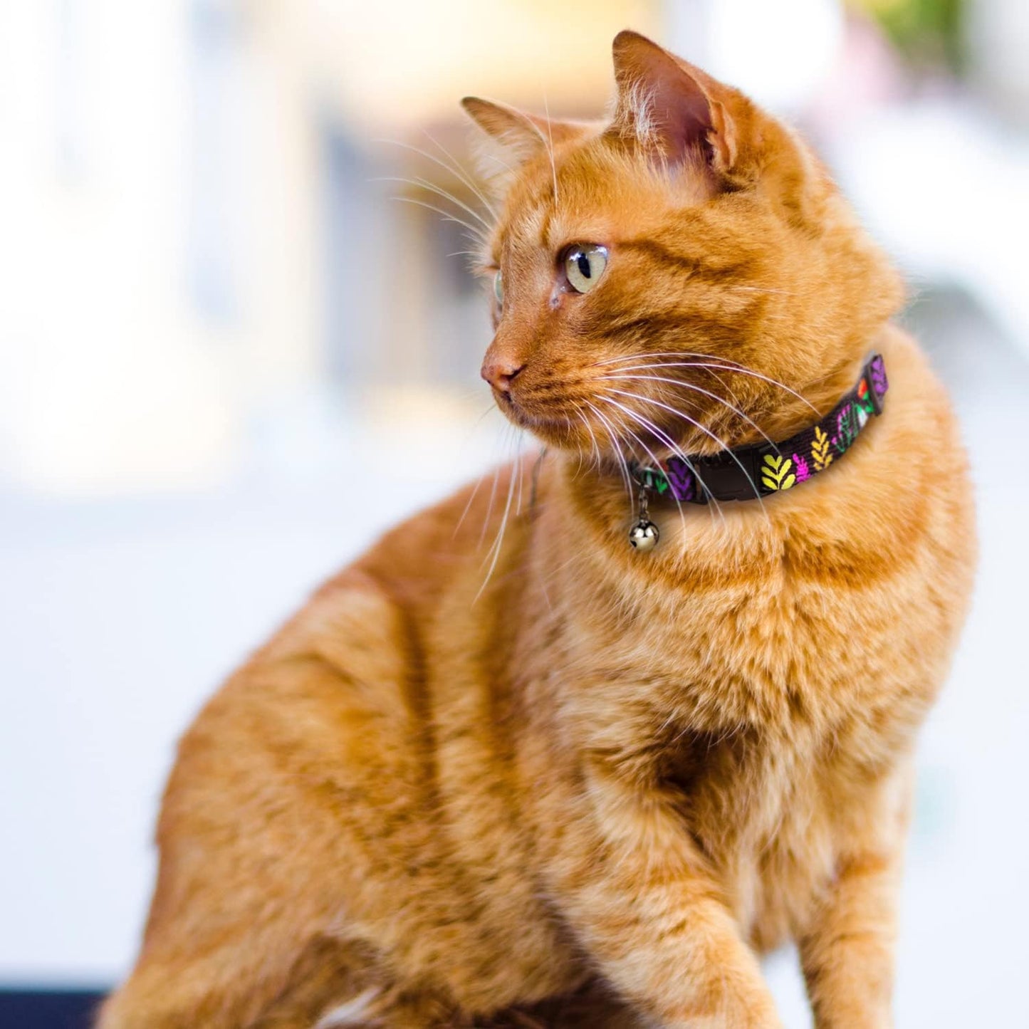 Cat Collar with Bell Floral Pattern 2 Pack Set Flower Adjustable Safety Breakaway Collars for Cats Kitten