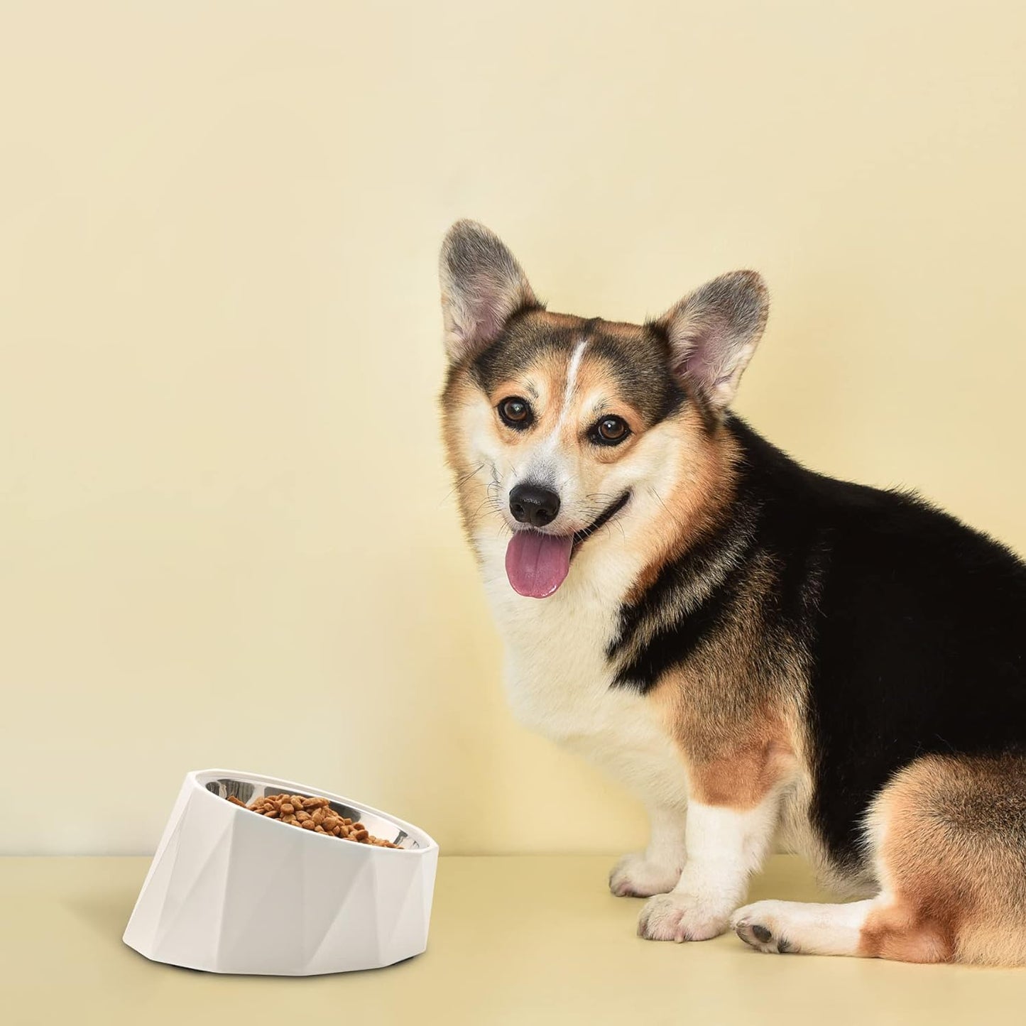 Tilted Angle Stainless Steel Dog Bowl,15°Slanted Pet Feeder for Dog and Cat, Non-Skid & Non-Spill Feeding Bowl with Detachable Melamine Stand, Food Water Dog Dish, Easier to Reach Food