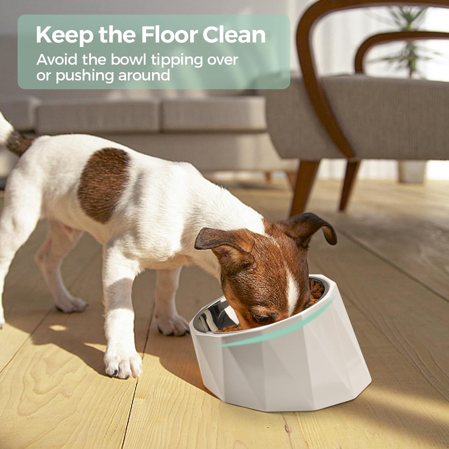 Tilted Angle Stainless Steel Dog Bowl,15°Slanted Pet Feeder for Dog and Cat, Non-Skid & Non-Spill Feeding Bowl with Detachable Melamine Stand, Food Water Dog Dish, Easier to Reach Food